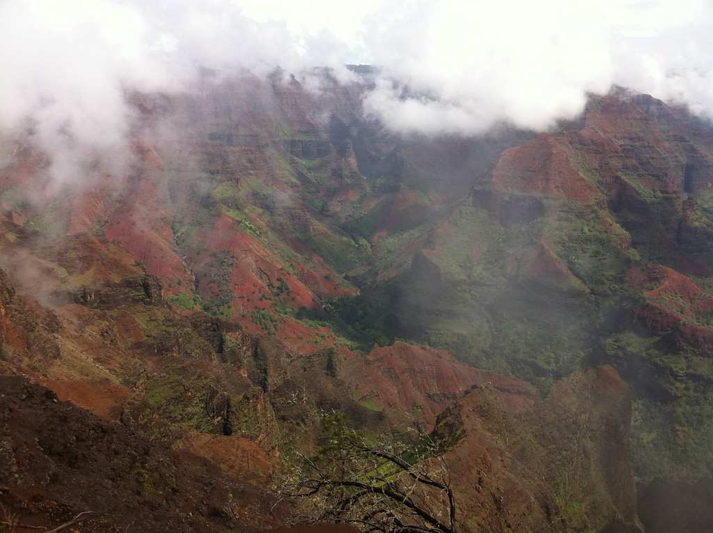 Waimea Canyon, Napali whale-watching, Smith Family Luau - February 14-16, 2011