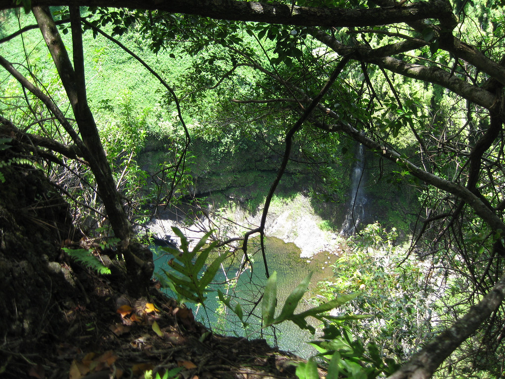 Pipiwai Trail - June 5, 2010