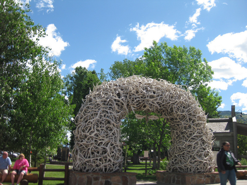 Yellowstone National Park - July 5, 2010