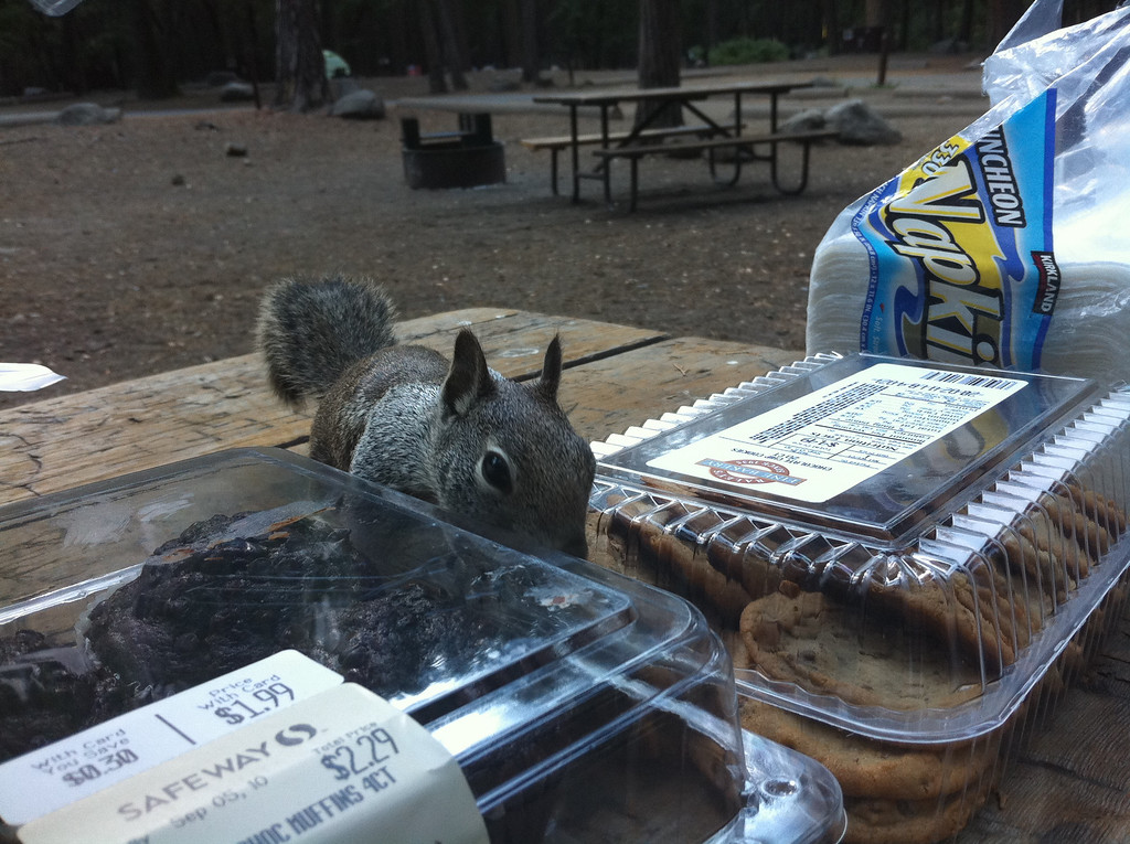 Yosemite Camping/Half Dome - September 3-4, 2010