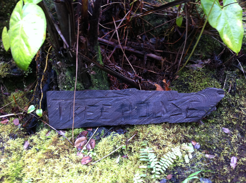 Treehouse, making Kilauea erupt, volcanoes in the dark - April 25-26, 2011