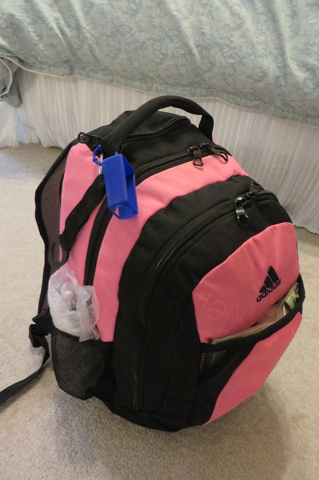 The start of a 3-night Vancouver to San Francisco Star Princess repositioning cruise - May 8-9, 2014