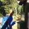 Day hike to Lake Sylvia - September 12, 2016