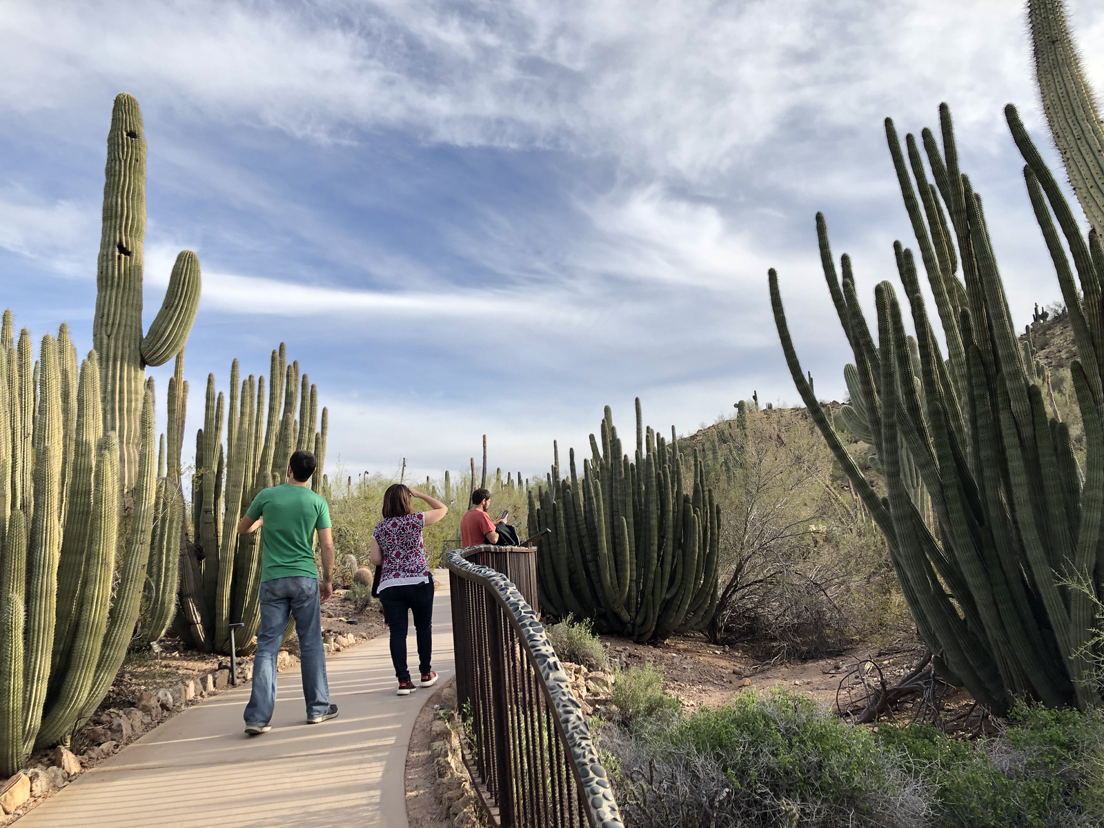 Featured image of post Tucson: gem shows, hiking, Pima Air and Space Museum, Arizona-Sonora Desert Museum - February 10-12, 2020