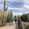 Tucson: gem shows, hiking, Pima Air and Space Museum, Arizona-Sonora Desert Museum - February 10-12, 2020