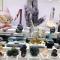 Tucson Gem and Mineral Main Show, hiking, Titan Missile Museum, Nogales - February 13-15, 2020